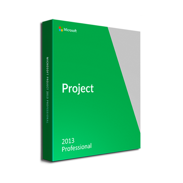 Microsoft Project 2013 Professional