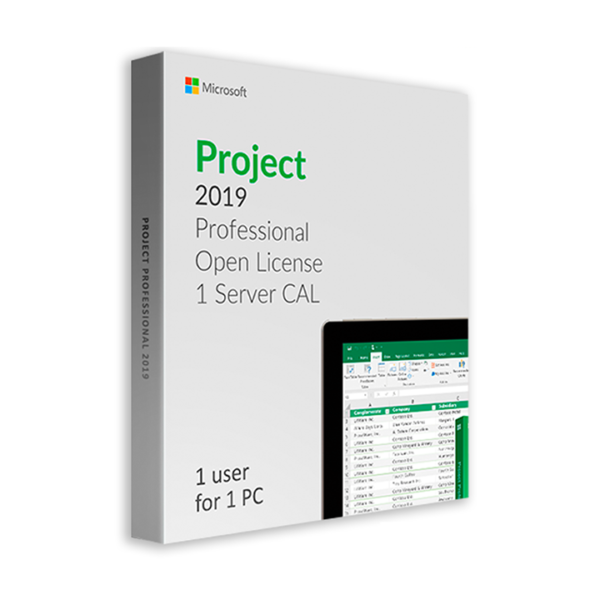 Microsoft Project 2019 Professional Server