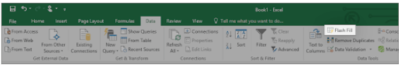 What is Flash Fill in Excel? You Must Know This 33 Flash Fill in the menu tab