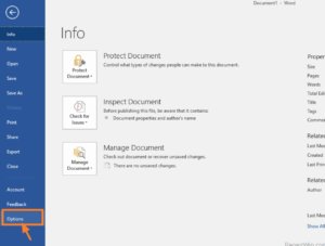 Enhance Microsoft Office: Latest Language Accessory Packs for Microsoft Office 16 microsoft-word