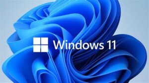 Install Windows 11 on Unsupported Hardware? Risks, Rewards, and Alternatives 11 install windows 11