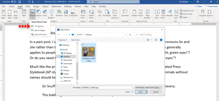 The Beginner’s Guide to Microsoft Word 69 insert images