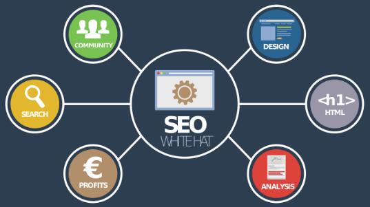 Boosting SEO with WordPress Hosting and FastSoftwares Solutions 6 wordpress hosting